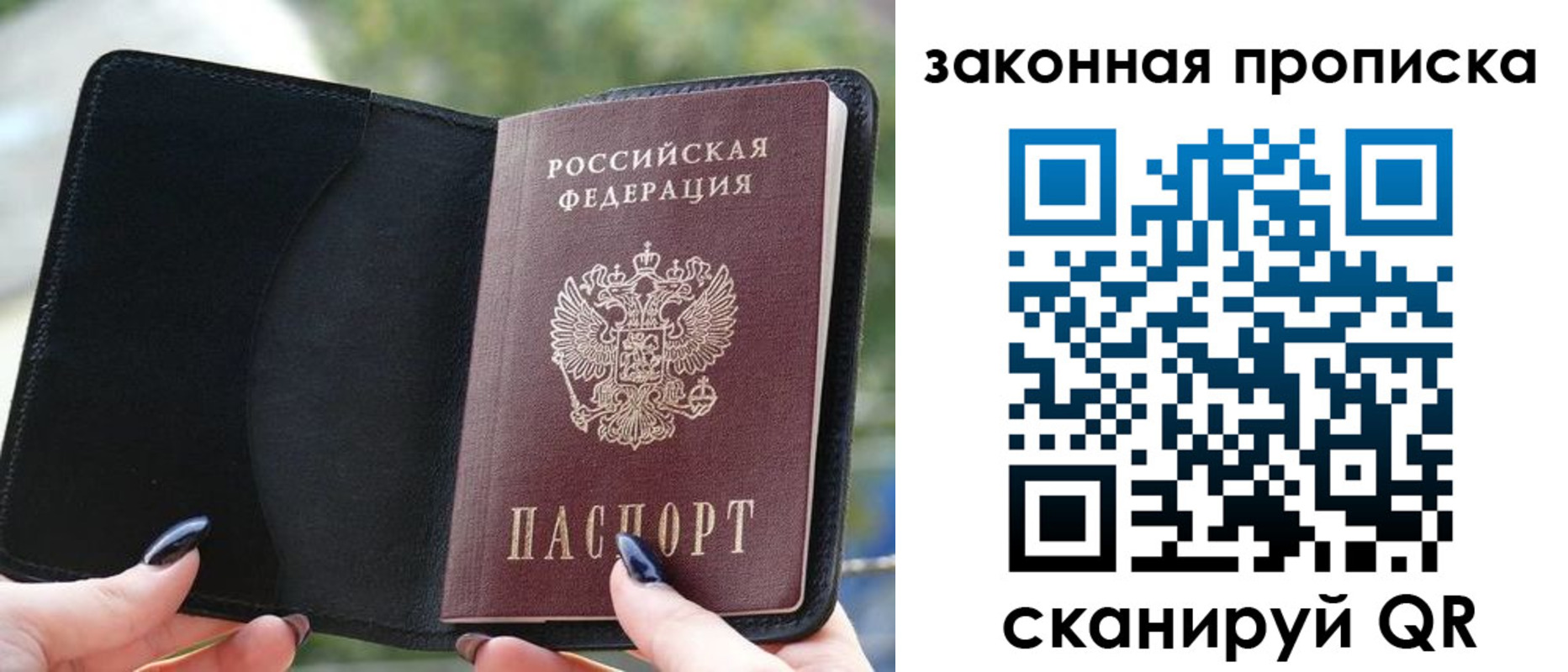 прописка законно в Заринске